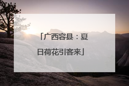 广西容县：夏日荷花引客来
