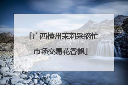 广西横州茉莉采摘忙 市场交易花香飘
