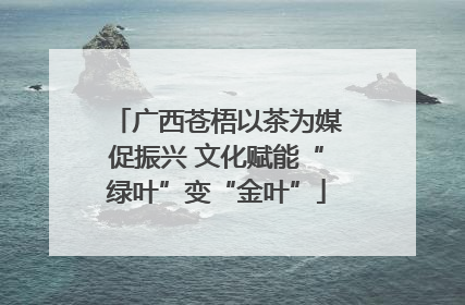 广西苍梧以茶为媒促振兴 文化赋能“绿叶”变“金叶”