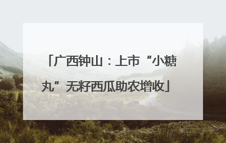 广西钟山：上市“小糖丸”无籽西瓜助农增收