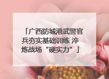 广西防城港武警官兵夯实基础训练 淬炼战场“硬实力”
