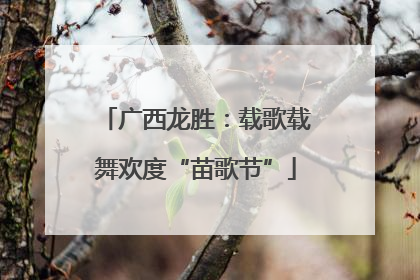 广西龙胜：载歌载舞欢度“苗歌节”