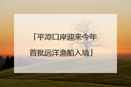 平潭口岸迎来今年首批远洋渔船入境