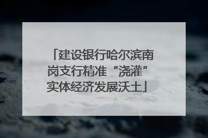 建设银行哈尔滨南岗支行精准“浇灌”实体经济发展沃土