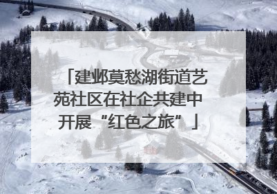 建邺莫愁湖街道艺苑社区在社企共建中开展“红色之旅”