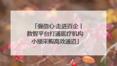 强信心·走进百企丨数智平台打通医疗机构小额采购高效通道