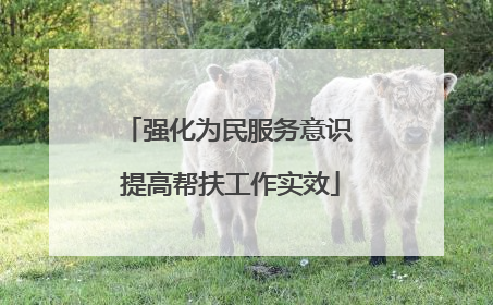 强化为民服务意识 提高帮扶工作实效