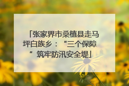 张家界市桑植县走马坪白族乡：“三个保障”筑牢防汛安全堤