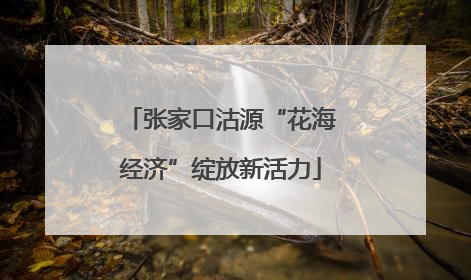 张家口沽源“花海经济”绽放新活力