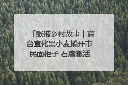 张掖乡村故事｜高台宣化黑小麦撬开市民面柜子 石磨激活村集体钱匣子