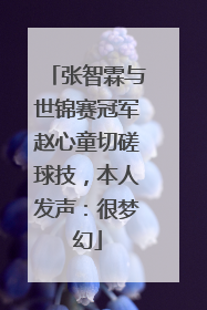 张智霖与世锦赛冠军赵心童切磋球技，本人发声：很梦幻