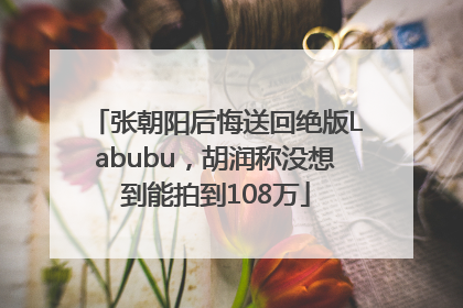 张朝阳后悔送回绝版Labubu，胡润称没想到能拍到108万