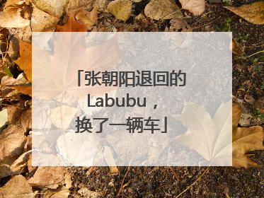 张朝阳退回的Labubu，换了一辆车