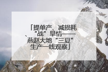 提单产、减损耗、“战”旱情——燕赵大地“三夏”生产一线观察