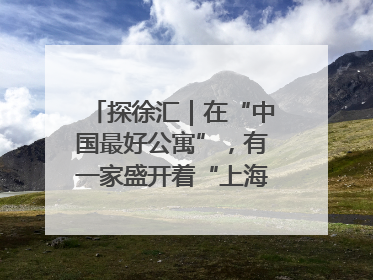 探徐汇｜在“中国最好公寓”，有一家盛开着“上海玫瑰”的书店