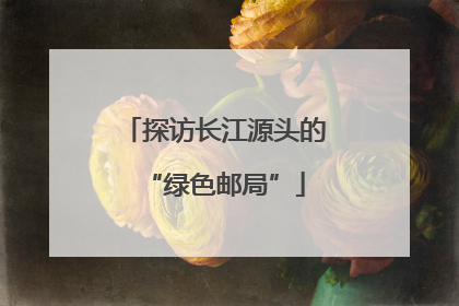 探访长江源头的“绿色邮局”