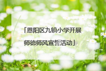 恩阳区九镇小学开展师德师风宣誓活动