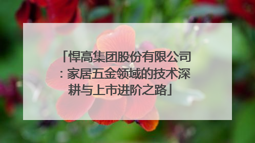 悍高集团股份有限公司：家居五金领域的技术深耕与上市进阶之路