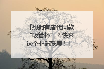 想拥有唐代同款“吸管杯”？快来这个非遗联展！