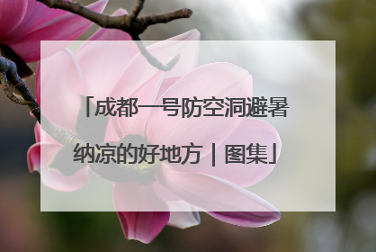 成都一号防空洞避暑纳凉的好地方｜图集