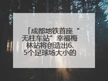 成都地铁首座“无柱车站”幸福梅林站将创造出6.5个足球场大小的通透空间