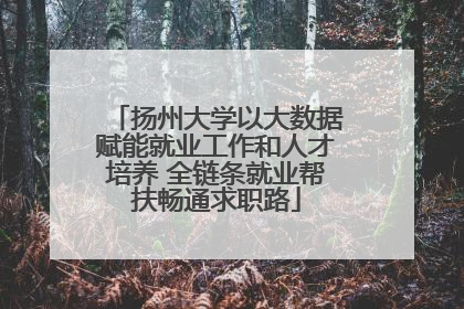 扬州大学以大数据赋能就业工作和人才培养 全链条就业帮扶畅通求职路