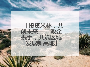 投资米林，共创未来——政企携手，共筑区域发展新高地