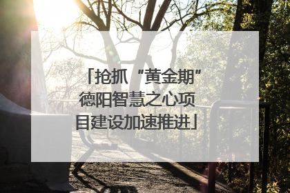 抢抓“黄金期” 德阳智慧之心项目建设加速推进