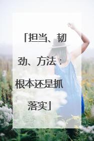 担当、韧劲、方法：根本还是抓落实