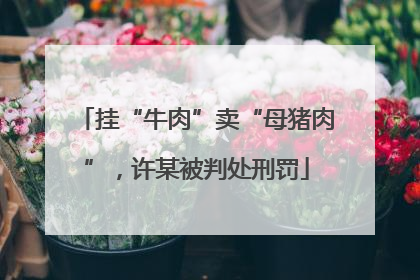 挂“牛肉”卖“母猪肉”，许某被判处刑罚