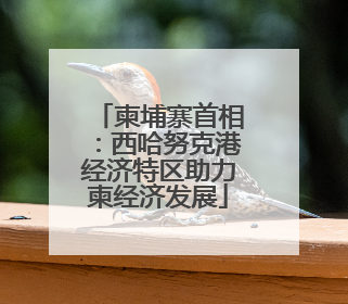 柬埔寨首相：西哈努克港经济特区助力柬经济发展