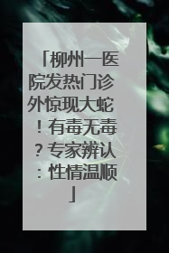 柳州一医院发热门诊外惊现大蛇！有毒无毒？专家辨认：性情温顺
