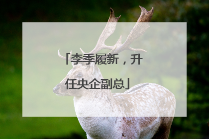 李季履新，升任央企副总