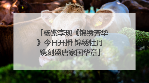 杨紫李现《锦绣芳华》今日开播 锦绣牡丹镌刻盛唐家国华章