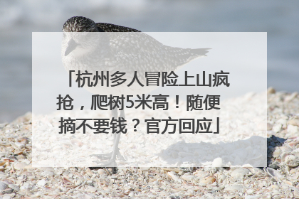 杭州多人冒险上山疯抢，爬树5米高！随便摘不要钱？官方回应
