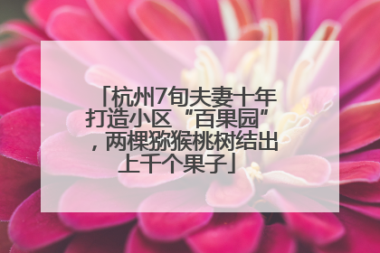 杭州7旬夫妻十年打造小区“百果园”，两棵猕猴桃树结出上千个果子