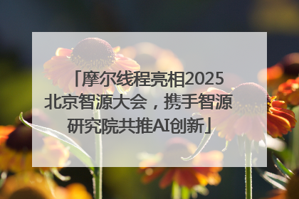 摩尔线程亮相2025北京智源大会，携手智源研究院共推AI创新