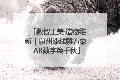 数智工美·造物维新｜泉州漆线雕万象 AR数字焕千秋