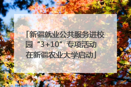 新疆就业公共服务进校园“3+10”专项活动在新疆农业大学启动