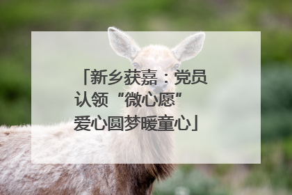 新乡获嘉：党员认领“微心愿” 爱心圆梦暖童心
