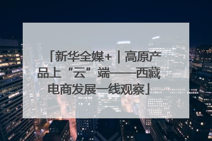新华全媒+｜高原产品上“云”端——西藏电商发展一线观察