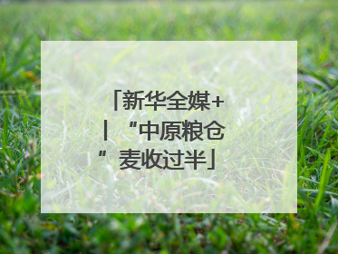 新华全媒+丨“中原粮仓”麦收过半