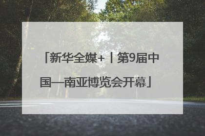 新华全媒+丨第9届中国—南亚博览会开幕
