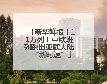 新华鲜报丨11万列！中欧班列跑出亚欧大陆“新时速”