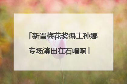 新晋梅花奖得主孙娜专场演出在石唱响