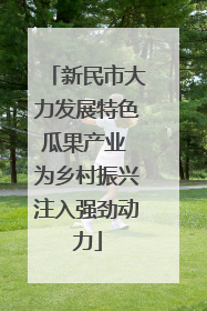新民市大力发展特色瓜果产业 为乡村振兴注入强劲动力