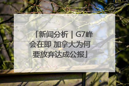 新闻分析｜G7峰会在即 加拿大为何要放弃达成公报