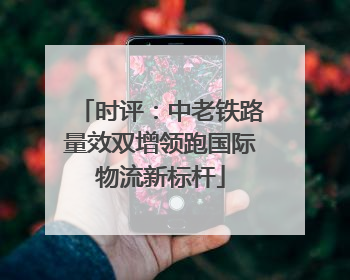 时评：中老铁路量效双增领跑国际物流新标杆