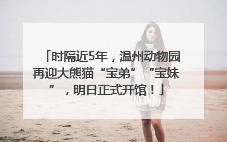 时隔近5年，温州动物园再迎大熊猫“宝弟”“宝妹”，明日正式开馆！