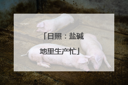 日照：盐碱地里生产忙